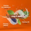 MAG 2 – Phyto Energie - Magnésium 300 mg, vitamine B6 et ginseng sibérien - Nervosité et Fatigue - Arôme naturel dorange - C