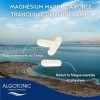 Algotonic - Magnésium Marin 100% naturel - 60 Gélules - Cure 60 jours - Vitamine B6 - Renforce le Système nerveux - Réduit la