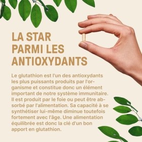 L-Glutathion Premium - sans stéarate de magnésium - dose équilibrée 300 mg par capsule - haute biodisponibilité glutathion ré