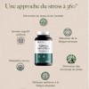FORMULE ANTI STRESS | Magnésium bisglycinate, Ashwagandha, Rhodiola, L-Théanine, Phosphatidylsérine, Magnolia, Mélisse, Vitam