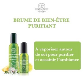 Elixirs & Co - Brume de Bien-être Réconfortante aux Fleurs de Bach & Huiles Essentielles - Purifiant - Les Fleurs de Bach - B