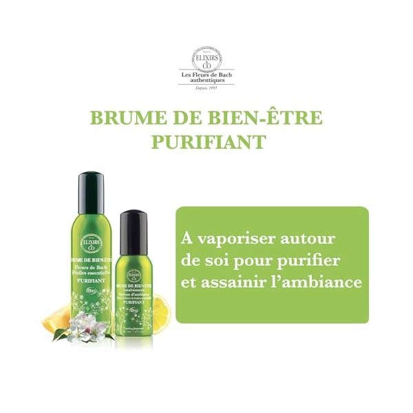Elixirs & Co - Brume de Bien-être Réconfortante aux Fleurs de Bach & Huiles Essentielles - Purifiant - Les Fleurs de Bach - B