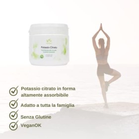 Benessence - Poudre soluble citrate de potassium + citrate de magnésium - 2 boîtes de 500 g