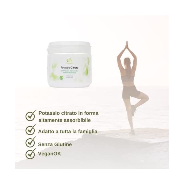 Benessence - Poudre soluble citrate de potassium + citrate de magnésium - 2 boîtes de 500 g