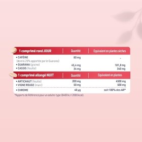 JUVAMINE - Expert Brûle Graisse Jour et Nuit - Contribue à Brûler les Graisses, Eliminer les Toxines, Réduire laspect Cellul