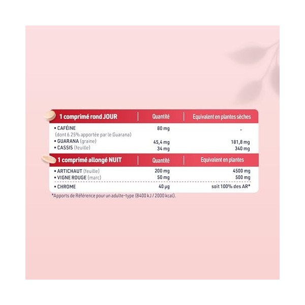 JUVAMINE - Expert Brûle Graisse Jour et Nuit - Contribue à Brûler les Graisses, Eliminer les Toxines, Réduire laspect Cellul