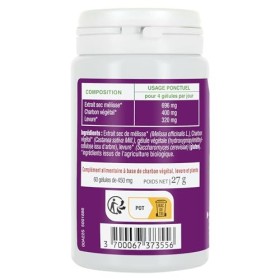 PHYTO-ACTIF | STOPO Spasmes | Complément alimentaire Digestion | Confort Digestif | Action globale sur la santé digestive | 