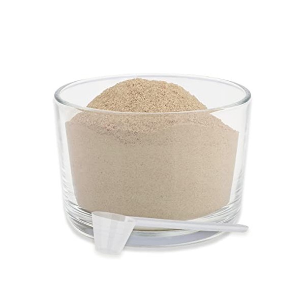 Poudre de levure de bière ReaVET pour Chiens et Chats 500g - levure de bière moulue Pure Contre la Chute des Poils et Les tiq