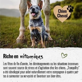 alphazoo Comprimés de levure de bière Chien 50 pièces, Produit Naturel pour Un Pelage Brillant et Une Peau Vitale, Poudre de 
