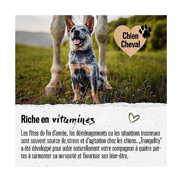 alphazoo Comprimés de levure de bière Chien 50 pièces, Produit Naturel pour Un Pelage Brillant et Une Peau Vitale, Poudre de 