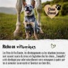 alphazoo Comprimés de levure de bière Chien 50 pièces, Produit Naturel pour Un Pelage Brillant et Une Peau Vitale, Poudre de 