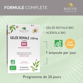 BIOCYTE Gelée Royale Bio Ampoules Goût Orange - Immunité & Energie, Anti-Fatigue - Vitamine C, Acérola Bio - Programme de 20 