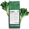 SaporePuro Inuline en poudre 1000 gr - fibre prébiotique - de racine de chicorée - Inulin powder