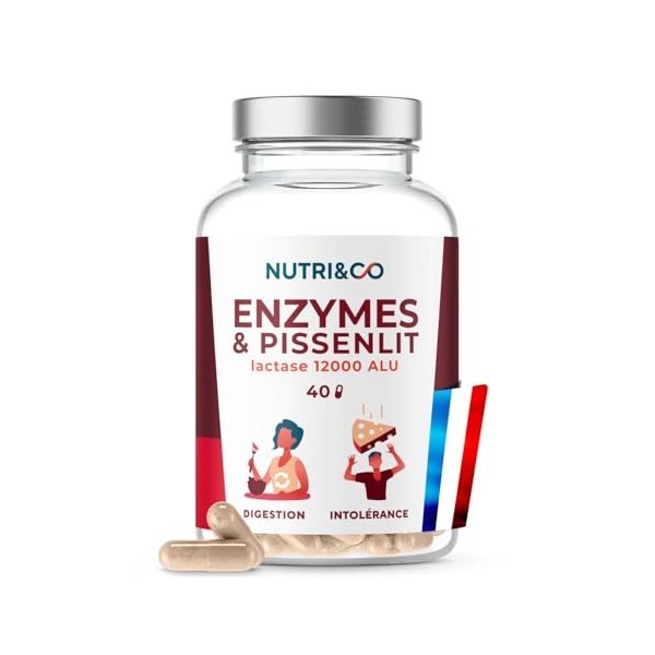 NUTRI & CO Enzymes Digestives Végétales avec 12000 UI de Lactase - Confort Digestif, Ballonnements & Intolérance au Lait - Fo