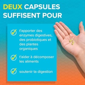 Zenwise, No Bloat Enzymes Digestives , 14 Capsules, Sans Gluten, Sans Soja, Sans OGM