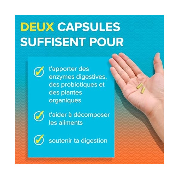 Zenwise, No Bloat Enzymes Digestives , 14 Capsules, Sans Gluten, Sans Soja, Sans OGM