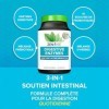 Zenwise, Digestive Enzymes Enzymes Digestives , 100 Capsules, Végétarien, Sans Gluten, Sans Soja, Sans OGM