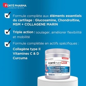 Forté Pharma - Forté Flex Max Articulations Collagène type I et II - Articulations - Flexibilité, Mobilité - Curcuma, MSM, Gl
