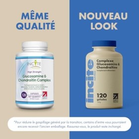 Incite Nutrition Complexe à haute résistance de glucosamine et de chondroïtine avec MSM, vitamine C, gingembre, églantier et 