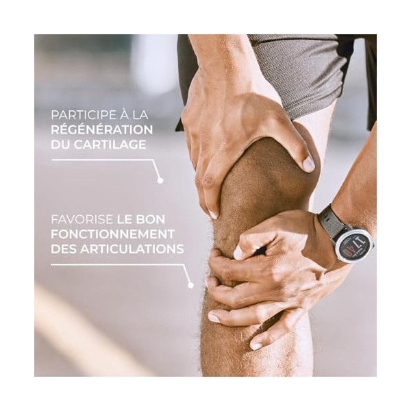 Complexe Articulation - Glucosamine Chondroïtine Cassis - Fabriqué en France - 60 gélules - ProposNature