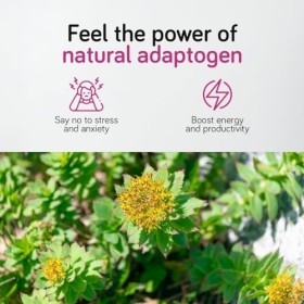 Rhodiola Rosea 500 mg - 120 Gélules - Extrait de Racine Titré à 3% en Salidroside | Vegan, Sans agents de remplissage artific
