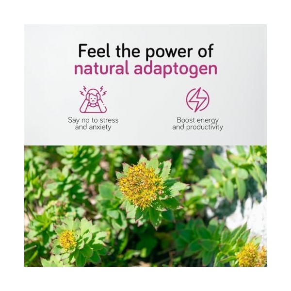 Rhodiola Rosea 500 mg - 120 Gélules - Extrait de Racine Titré à 3% en Salidroside | Vegan, Sans agents de remplissage artific