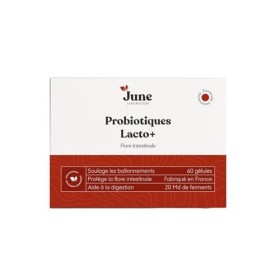 Probiotiques Lacto+, Soulage les Douleurs Intestinales, Réduit les Ballonements, Aide à La Digestion, 20 Milliards de Probiot