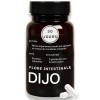 DIJO - Lindispensable Probiotique - Renforcement de la Flore Intestinale - 8 Souches de Bactéries & 28 Milliards dUFC - Gél