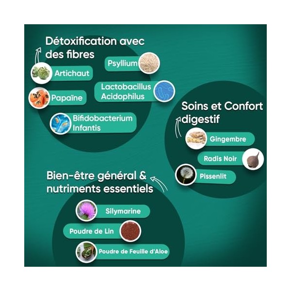Detox & Purifie 180 Gélules Vegan 2 Mois - Probiotiques 10 Milliards dUFC - Artichaut Radis Noir, Psyllium, Gingembre, Silym