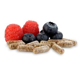 Équilibre supplément de probiotiques Equilibrium avec prébiotiques - 30 capsules efficaces et faciles à avaler – le plus gran