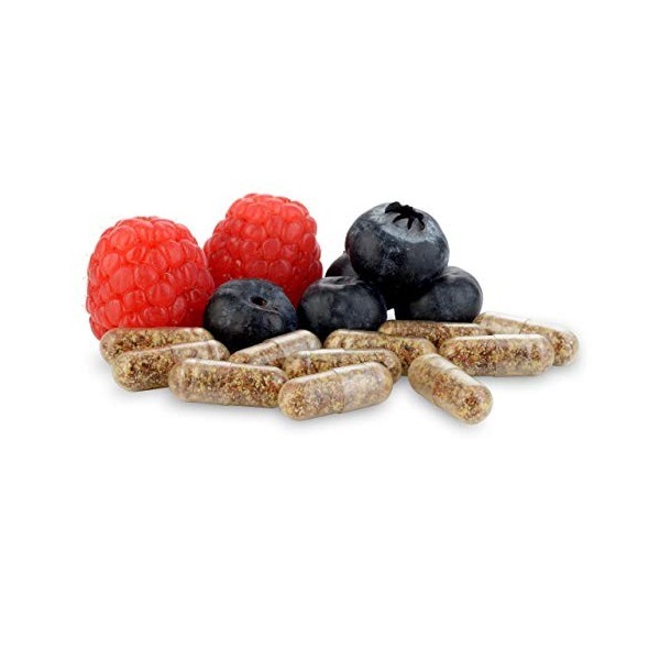 Équilibre supplément de probiotiques Equilibrium avec prébiotiques - 30 capsules efficaces et faciles à avaler – le plus gran