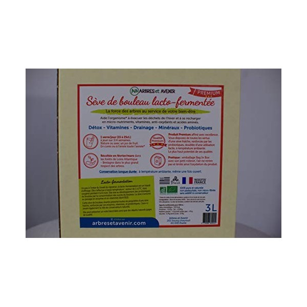 Arbres Et Avenir - Sève De Bouleau Lacto-Fermentée Boisson Bio Végétale, Détox 100% Naturelle, Cures Printemps, D’Hiver DAut