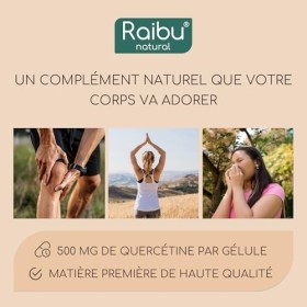 Quercétine, 180 Gélules pour 6 Mois - 500 mg par Gélule, Quercétine issue des Fleurs de Sophora Japonica - Flavonoïdes Haute 