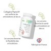 Curcumin + Collagen 60 Gélules - 95% Curcuminoïdes & 700 mg Collagène Peptan® - Complément Mobilité, Bien-Être, Équilibre - F