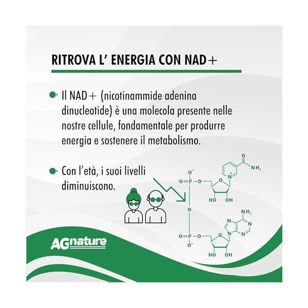 NAD Complément Nicotinamide Pur 60 Gélules 1000 mg - Complexe Anti-Âge et Anti-Fatigue avec Niacine, Trans-Resvératrol et Tri