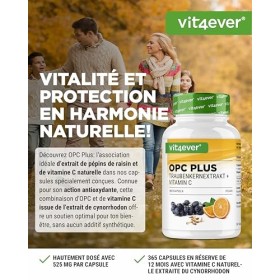 Extrait de pépins de raisin OPC + vitamine C naturelle - 365 gélules pour 12 mois - Teneur en OPC la plus élevée selon HPLC -