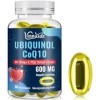 Ubiquinol CoQ10 600 mg Capsules Molles Avec Extrait de Shilajit 300 mg, Omega-3 150 mg, PQQ 20 mg - Système de Livraison Dual