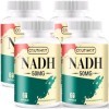 NADH 50mg Plus 200mg CoQ10, boost dénergie et antioxydant, Fortement dosé | Haute absorption, 240 gélules