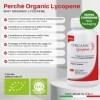 Organic Lycopene - Complément antioxydant au lycopène biologique certifié - Pack de 90 gélules