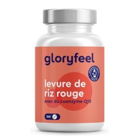 Levure de Riz Rouge - 365 comprimés - avec 2,9 mg de Monacolines de Riz Rouge et 30 mg de Coenzyme Q10 - Riz Rouge Fermenté a