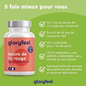 Levure de Riz Rouge - 365 comprimés - avec 2,9 mg de Monacolines de Riz Rouge et 30 mg de Coenzyme Q10 - Riz Rouge Fermenté a