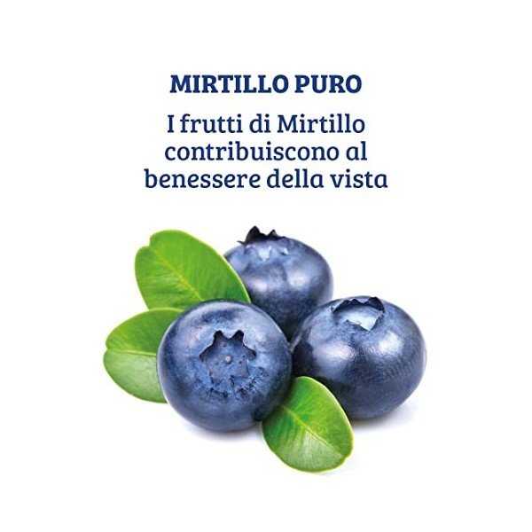 Colours of Life Bilberry Pure - Supplément dextrait de myrtille titré en anthocyanidines - Microcirculation et capacité visu