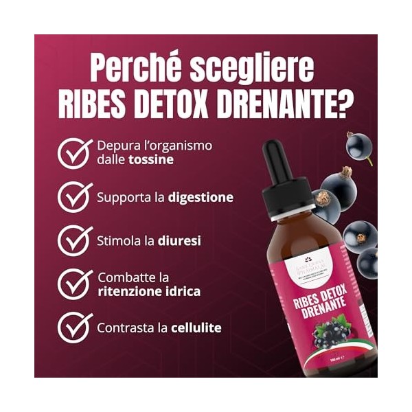 Salus Eterna Cassis Nigrum Detox Drainant Forte 100 ml – Purification naturelle pour foie et reins, antioxydant et diurétique