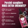 Salus Eterna Cassis Nigrum Detox Drainant Forte 100 ml – Purification naturelle pour foie et reins, antioxydant et diurétique