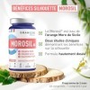 MOROSIL ® 400 mg GRANIONS - Morosil Perte de Poids - Morosil + Vitamine C - Morosil Hautement Dosé - Bruleur de graisse puiss
