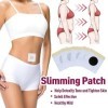 Lot de 2 paquets de 60 patchs amincissants pour brûler les graisses - Granulés abdominaux antiques efficaces - Détox végétal 