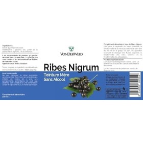 Vonderweid - Ribes Nigrum Teinture Mère sans alcool | Extrait glycériné | Gouttes de cassis | Extraction par ultrasons | Comp