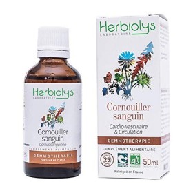 Macérat De Bourgeon de Cornouiller Sanguin Bio | Gemmothérapie | 50 millilitres | Herbiolys
