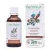 Macérat De Bourgeon de Cornouiller Sanguin Bio | Gemmothérapie | 50 millilitres | Herbiolys