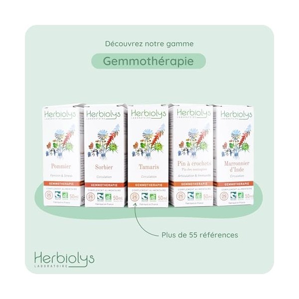 Macérat De Bourgeon de Cornouiller Sanguin Bio | Gemmothérapie | 50 millilitres | Herbiolys